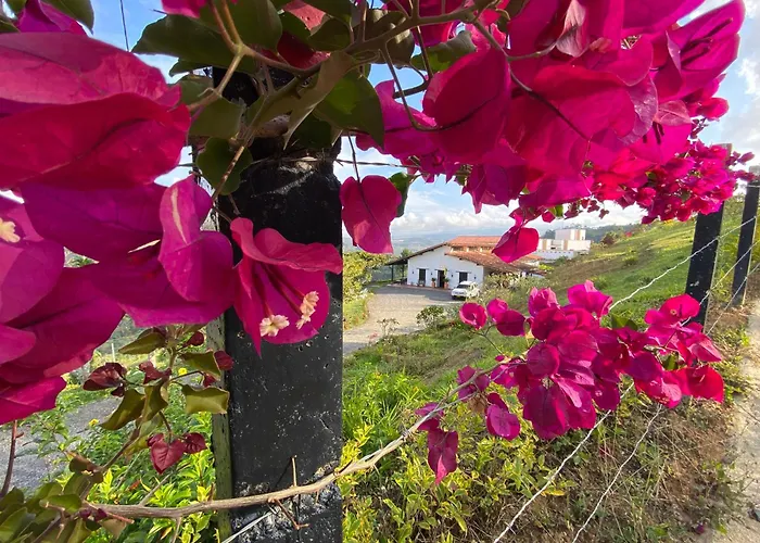 Casa Luna Curiti