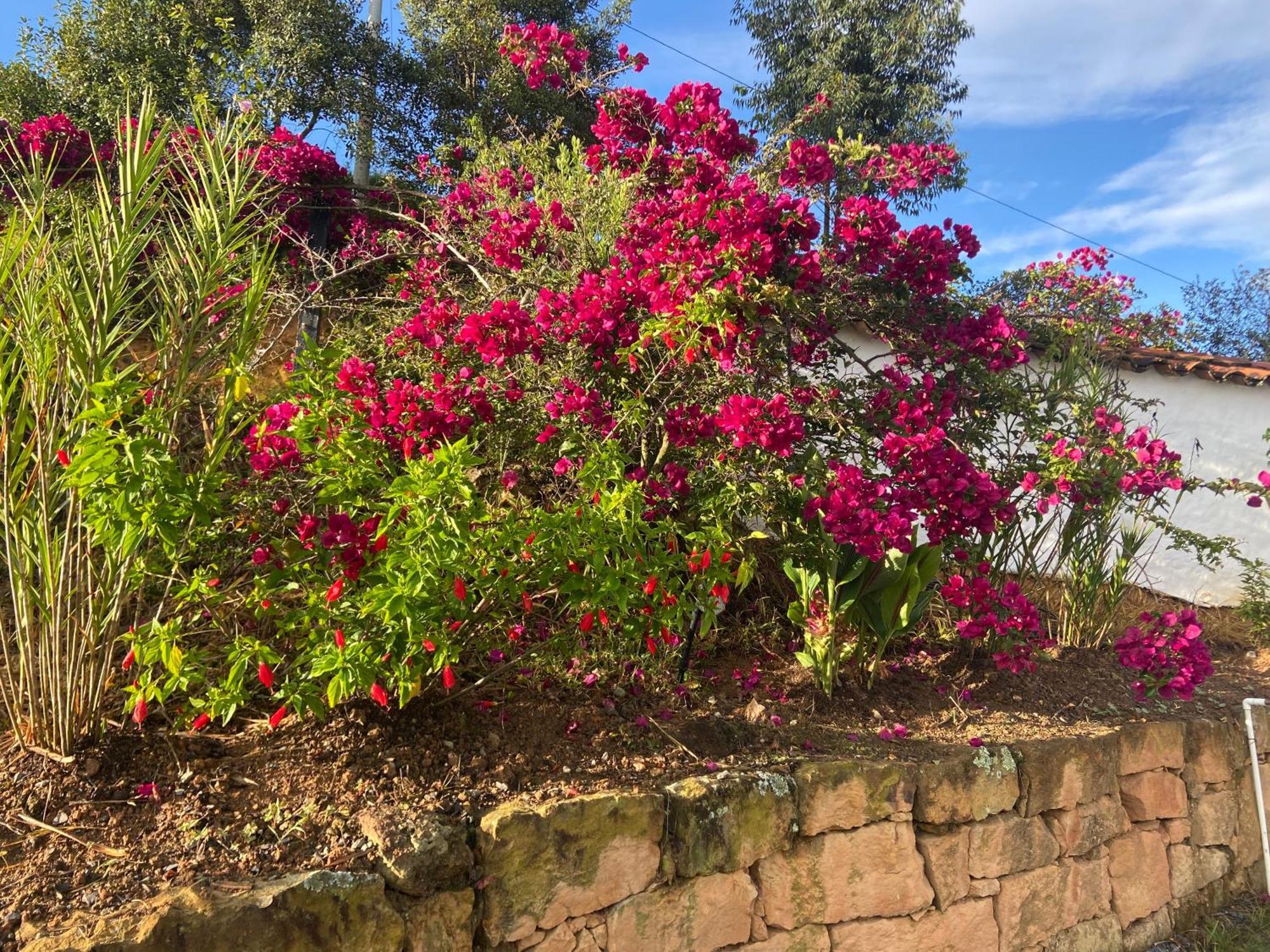 Casa Luna Campestre & Pensión